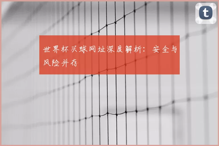 世界杯买球网址深度解析：安全与风险并存