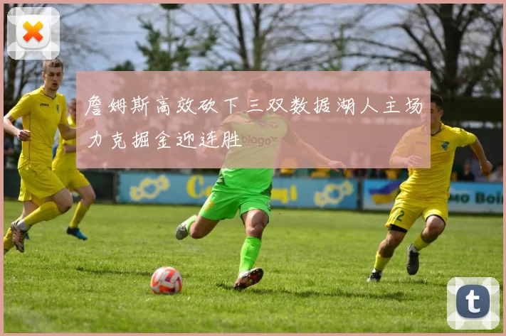 詹姆斯高效砍下三双数据湖人主场力克掘金迎连胜
