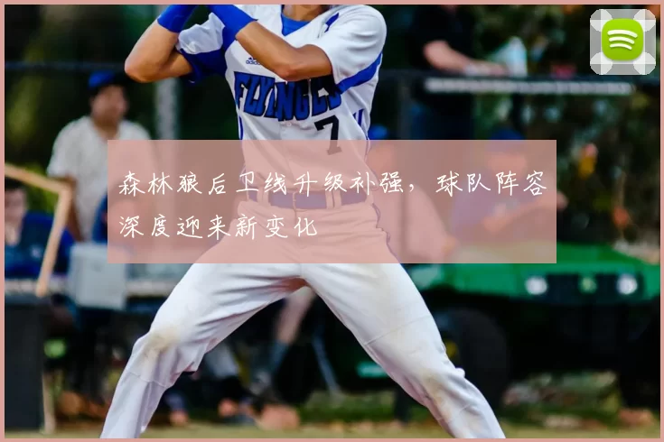 森林狼后卫线升级补强,球队阵容深度迎来新变化