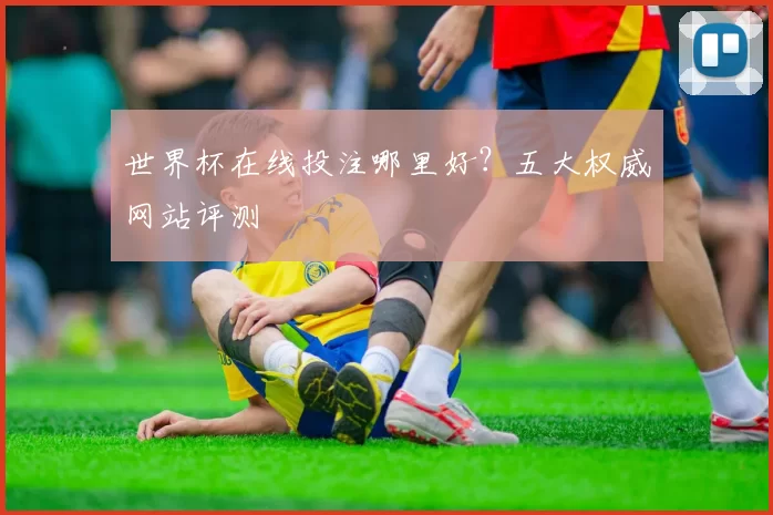 世界杯在线投注哪里好?五大权威网站评测