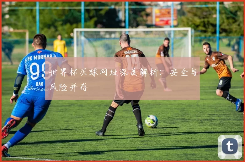 世界杯买球网址深度解析：安全与风险并存
