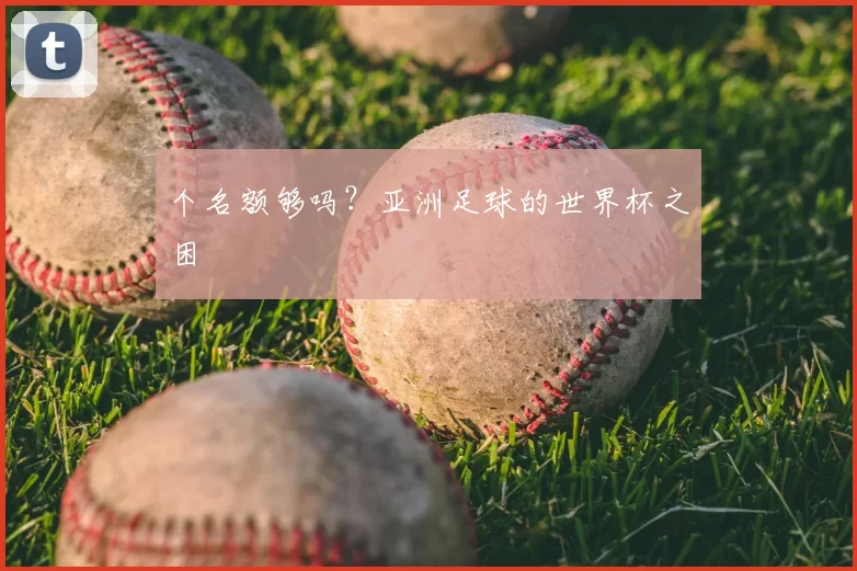 个名额够吗？亚洲足球的世界杯之困