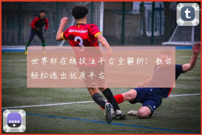 世界杯在线投注平台全解析:教你轻松选出优质平台