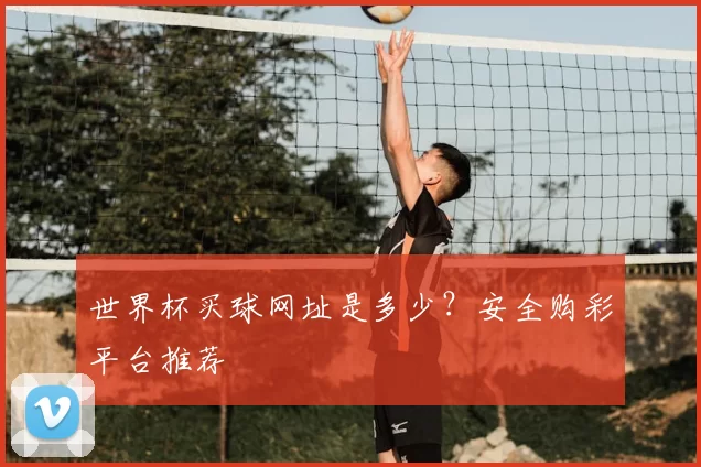世界杯买球网址是多少?安全购彩平台推荐