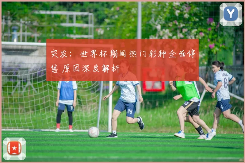 突发：世界杯期间热门彩种全面停售 原因深度解析