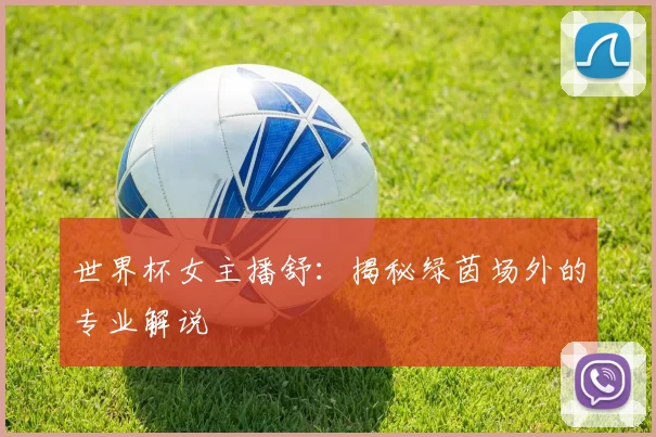 世界杯女主播舒:揭秘绿茵场外的专业解说