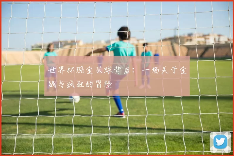 世界杯现金买球背后:一场关于金钱与疯狂的冒险