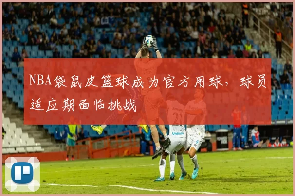 NBA袋鼠皮篮球成为官方用球，球员适应期面临挑战
