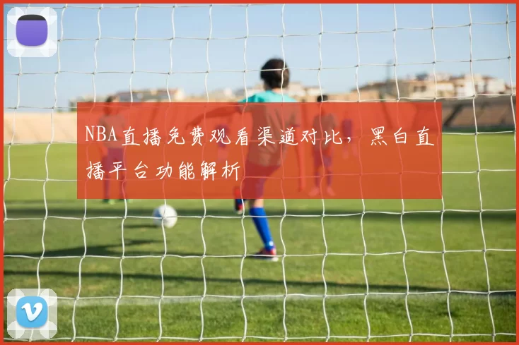 NBA直播免费观看渠道对比，黑白直播平台功能解析