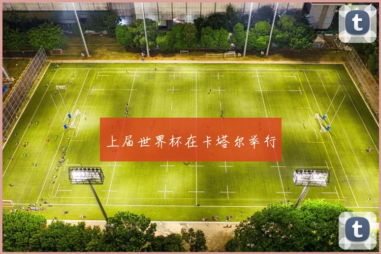 上届世界杯在卡塔尔举行